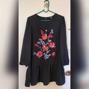 Express Embroidered dress